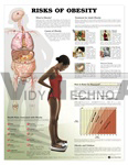 Risks of Obesity Anatomical Chart